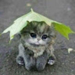 Meet your Posher, Marnie